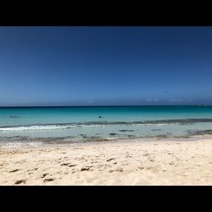 Meet your Posher, Tanya